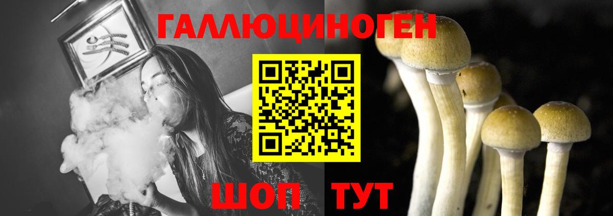 Галлюциногенные грибы Psilocybine cubensis  Вход с VPN  Псилоцибиновые грибы мицелий  Бузулук 